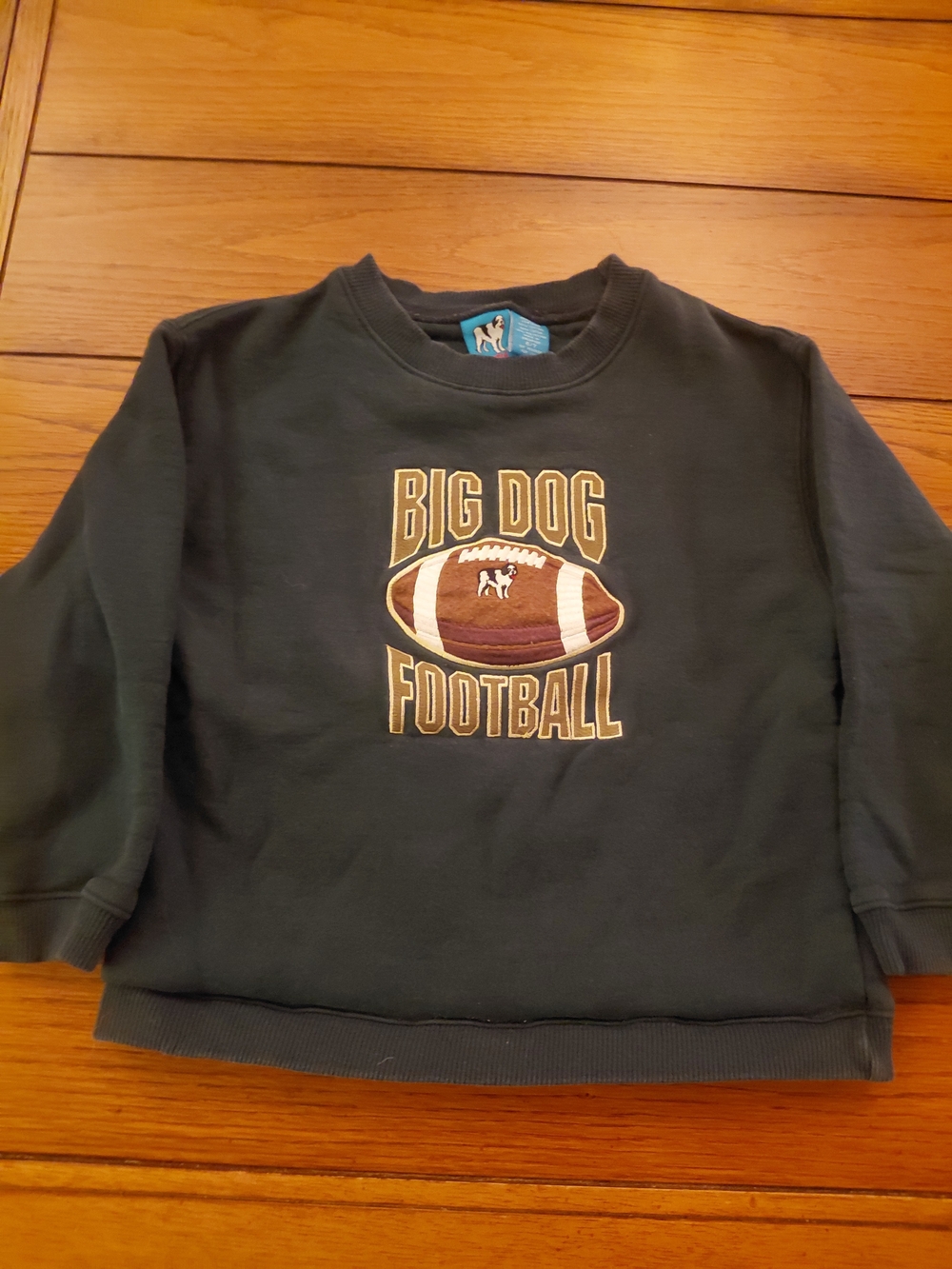 Big Dogs Navy Pullover with Football Graphic